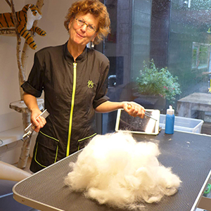 trimfoto27